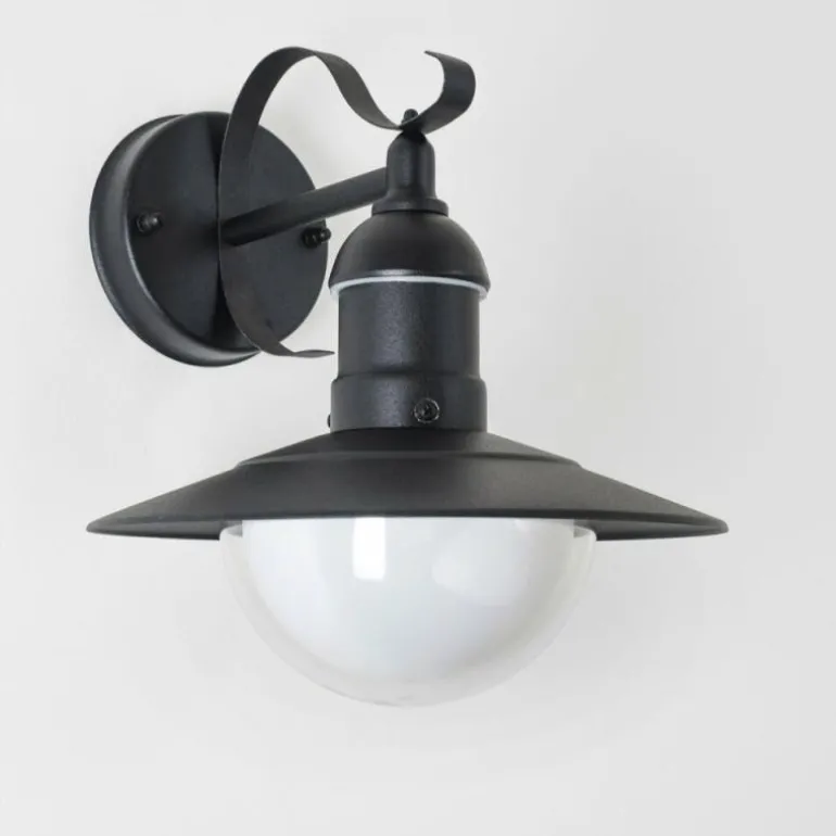 Applique murale d'extérieur Broni Noir, 1 lumière