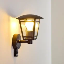 Applique murale d'extérieur Siera Noir, 1 lumière, Détecteur de mouvement