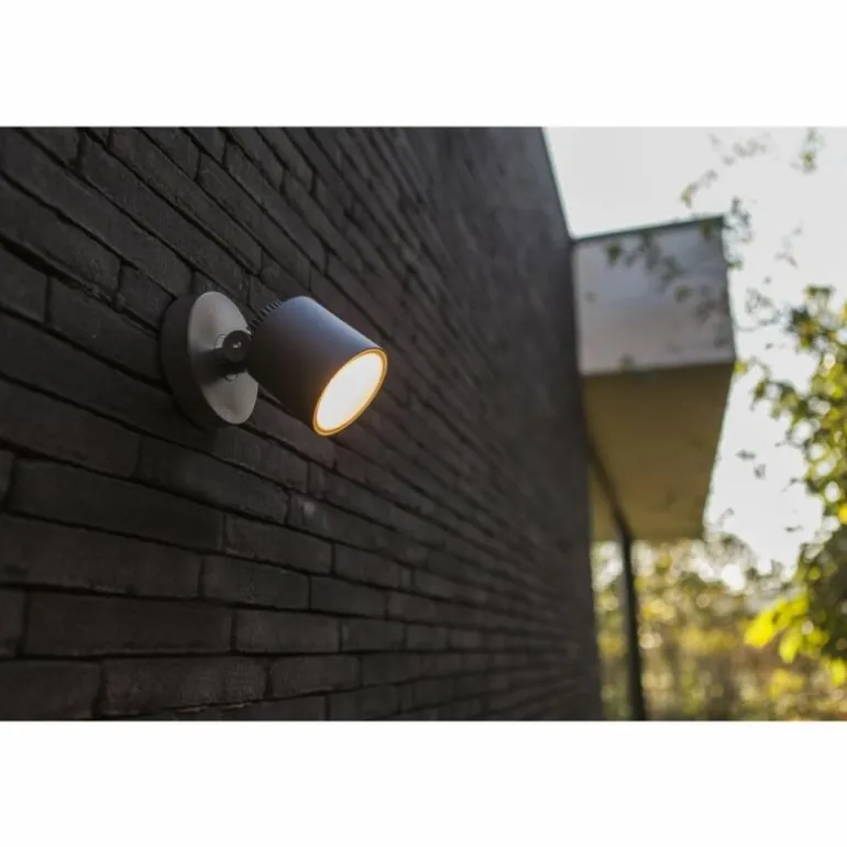Applique murale d'extérieur Lutec Explorer LED Anthracite, 1 lumière