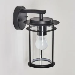 Applique murale d'extérieur Aigle Noir, 1 lumière