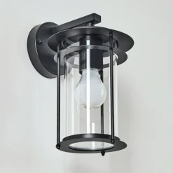 Applique murale d'extérieur Aigle Noir, 1 lumière