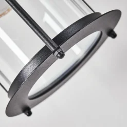 Applique murale d'extérieur Aigle Noir, 1 lumière