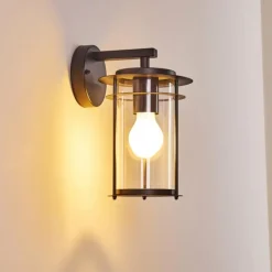 Applique murale d'extérieur Aigle Noir, 1 lumière