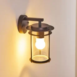 Applique murale d'extérieur Aigle Noir, 1 lumière