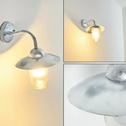 Applique murale d'extérieur Maidiswil Argenté, 1 lumière