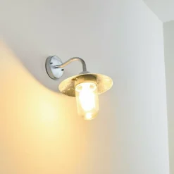 Applique murale d'extérieur Maidiswil Argenté, 1 lumière