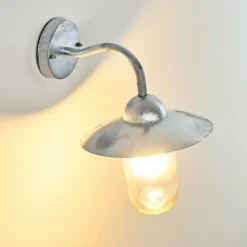 Applique murale d'extérieur Maidiswil Argenté, 1 lumière