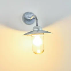 Applique murale d'extérieur Maidiswil Argenté, 1 lumière