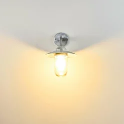 Applique murale d'extérieur Maidiswil Argenté, 1 lumière