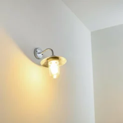 Applique murale d'extérieur Maidiswil Argenté, 1 lumière