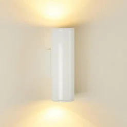 Applique murale d'extérieur Brachy LED Blanc, 2 lumières