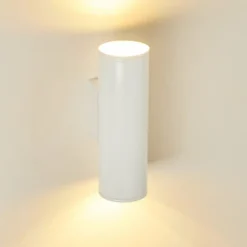 Applique murale d'extérieur Brachy LED Blanc, 2 lumières