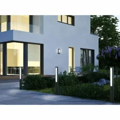 Applique murale d'extérieur Trio RHINE LED Anthracite, 2 lumières