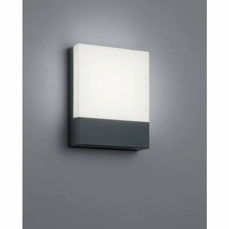 Applique murale d'extérieur Trio PECOS LED Anthracite, 1 lumière