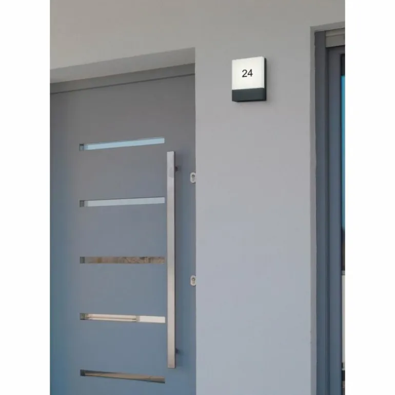 Applique murale d'extérieur Trio PECOS LED Anthracite, 1 lumière