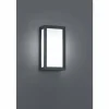 Applique murale d'extérieur Trio TIMOK Anthracite, 1 lumière
