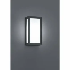 Applique murale d'extérieur Trio TIMOK Anthracite, 1 lumière