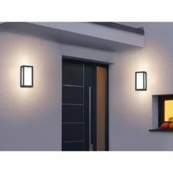 Applique murale d'extérieur Trio TIMOK Anthracite, 1 lumière