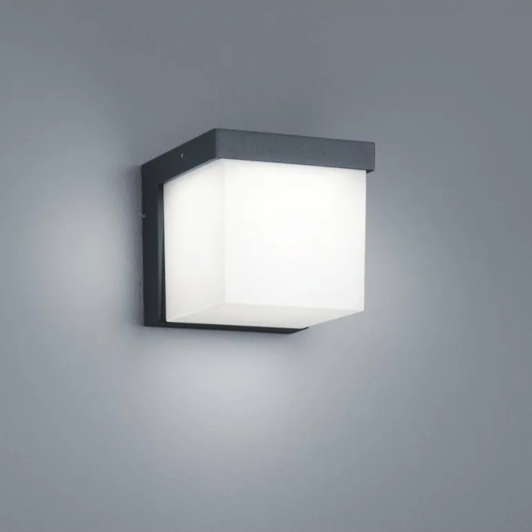 Applique murale d'extérieur Trio YANGTZE LED Anthracite, 1 lumière