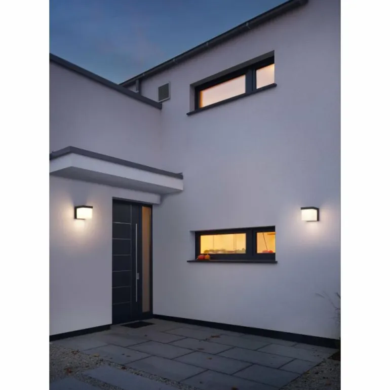 Applique murale d'extérieur Trio YANGTZE LED Anthracite, 1 lumière