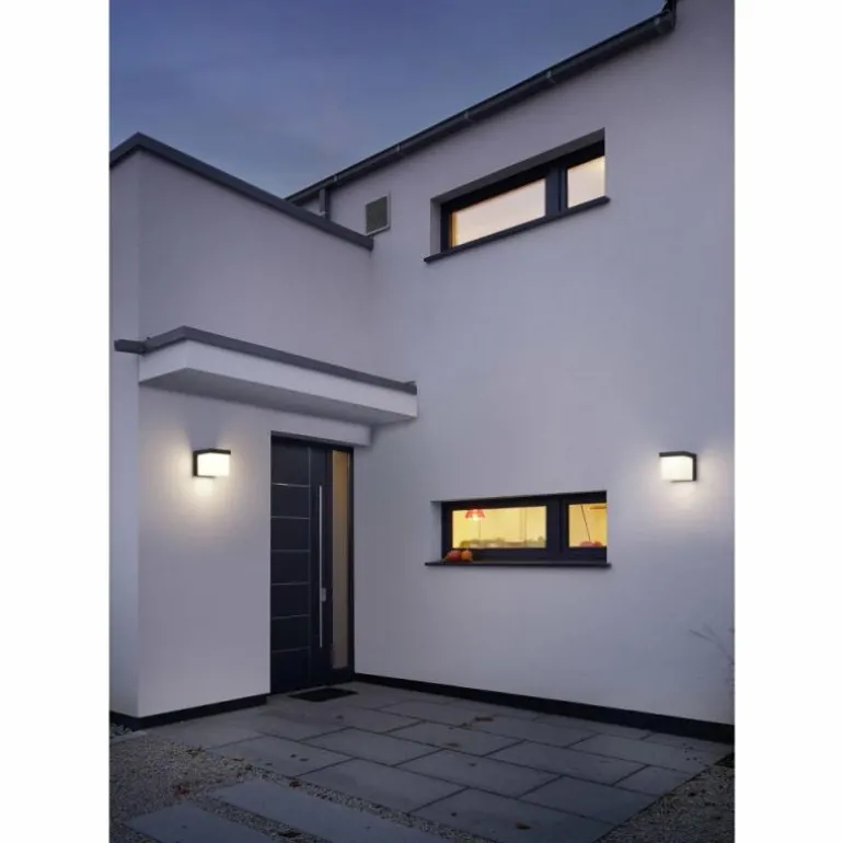 Applique murale d'extérieur Trio YANGTZE LED Anthracite, 1 lumière