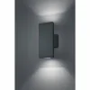Applique murale d'extérieur Trio COLORADO LED Anthracite, 2 lumières