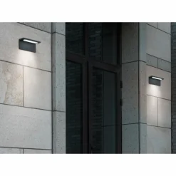 Applique murale d'extérieur Trio TRAVE LED Anthracite, 1 lumière