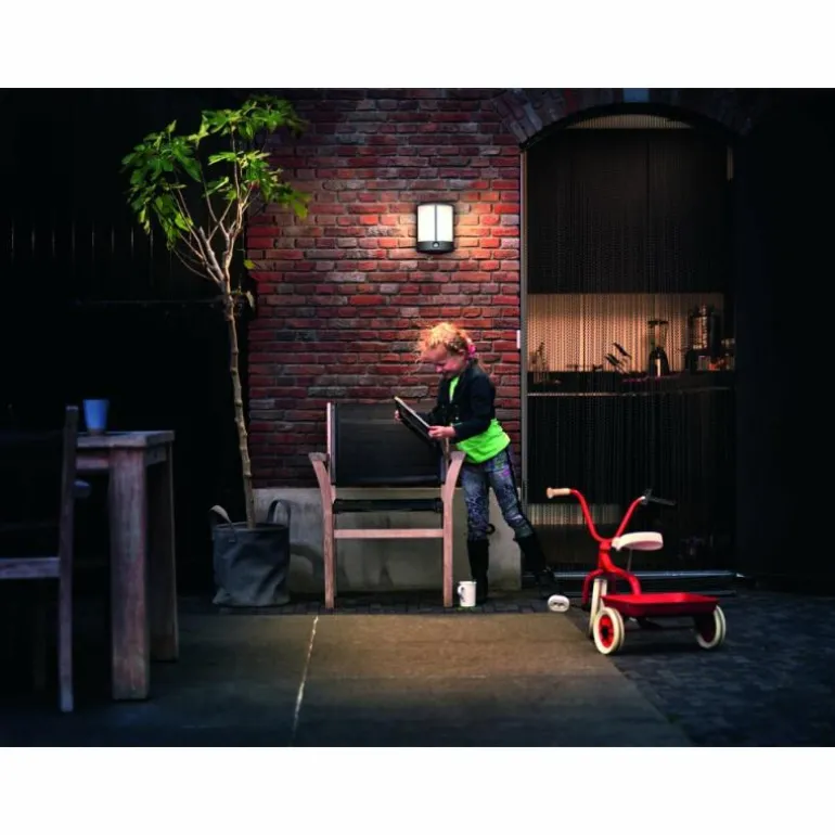 Applique murale d'extérieur Philips Stock LED Anthracite, 1 lumière, Détecteur de mouvement