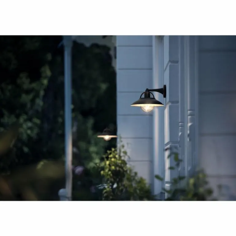Applique murale d'extérieur Philips Cormorant Noir, 1 lumière