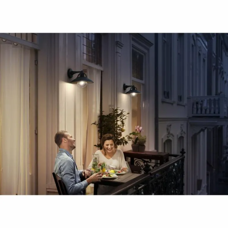 Applique murale d'extérieur Philips Cormorant Noir, 1 lumière