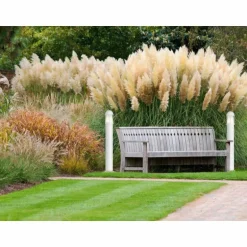 Applique murale d'extérieur LCD Celle Blanc, 1 lumière