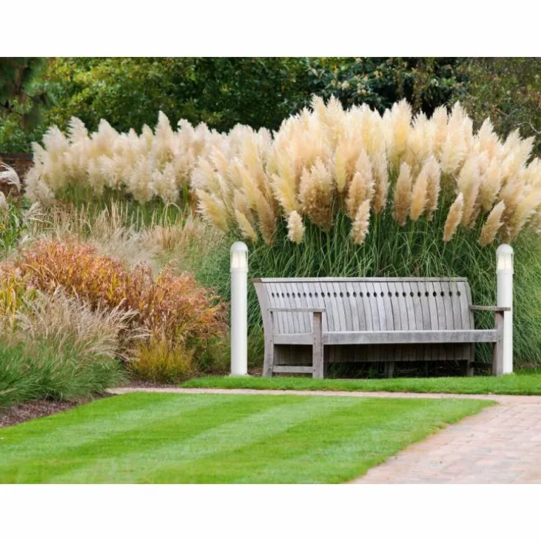 Applique murale d'extérieur LCD Celle Blanc, 1 lumière