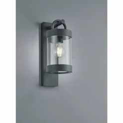 Applique murale d'extérieur Trio Leuchten SAMBESI Anthracite, 1 lumière