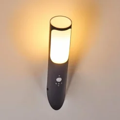 Applique murale d'extérieur Nalmaibrück Anthracite, 1 lumière, Détecteur de mouvement