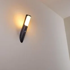 Applique murale d'extérieur Nalmaibrück Anthracite, 1 lumière, Détecteur de mouvement