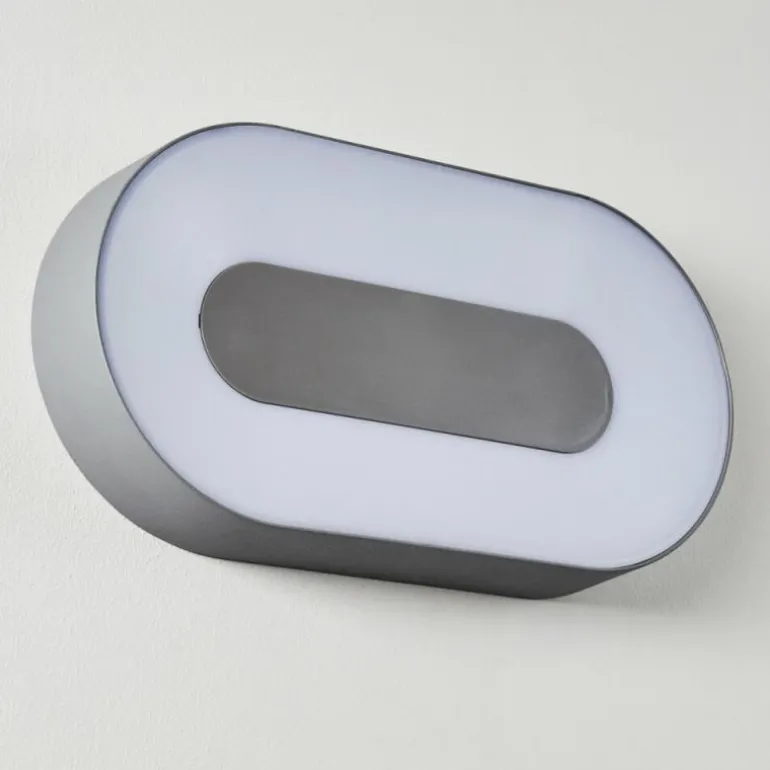 Applique murale d'extérieur Felsted LED Argenté, 1 lumière