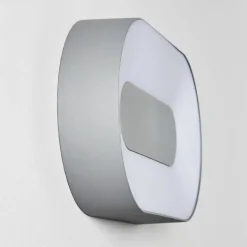 Applique murale d'extérieur Felsted LED Argenté, 1 lumière