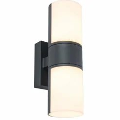 Applique murale d'extérieur Lutec CYRA LED Anthracite, 1 lumière