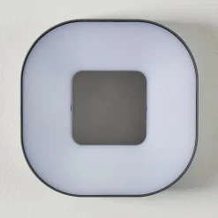 Applique murale d'extérieur Feldsted LED Argenté, 1 lumière