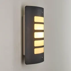 Applique murale d'extérieur Alslev Anthracite, 1 lumière