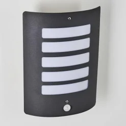 Applique murale d'extérieur Alslev Anthracite, 1 lumière, Détecteur de mouvement