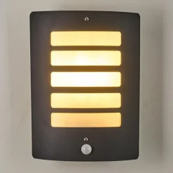 Applique murale d'extérieur Alslev Anthracite, 1 lumière, Détecteur de mouvement