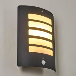 Applique murale d'extérieur Alslev Anthracite, 1 lumière, Détecteur de mouvement