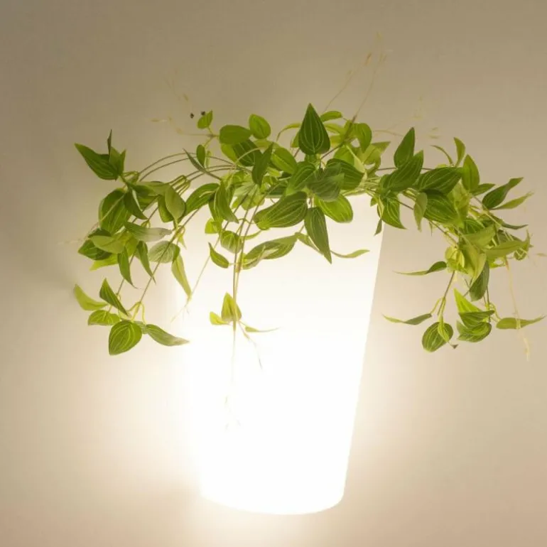 Applique murale d'extérieur Mantra TEJA Blanc, 1 lumière