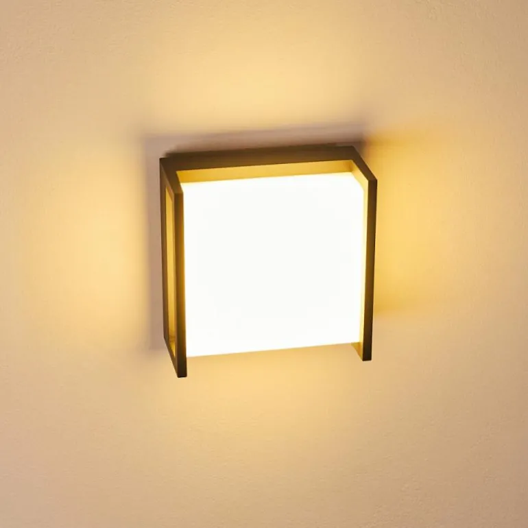 Applique murale d'extérieur Skove LED Anthracite, 1 lumière