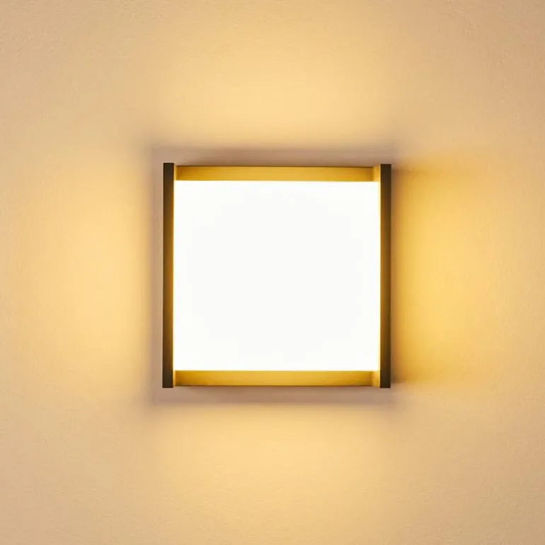 Applique murale d'extérieur Skove LED Anthracite, 1 lumière