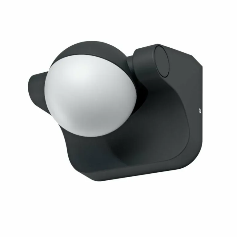 Applique murale d'extérieur LEDVANCE ENDURA Noir, 1 lumière