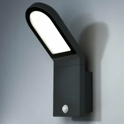 Applique murale d'extérieur LEDVANCE ENDURA Noir, 1 lumière, Détecteur de mouvement