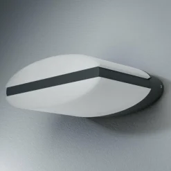 Applique murale d'extérieur LEDVANCE ENDURA Noir, 1 lumière