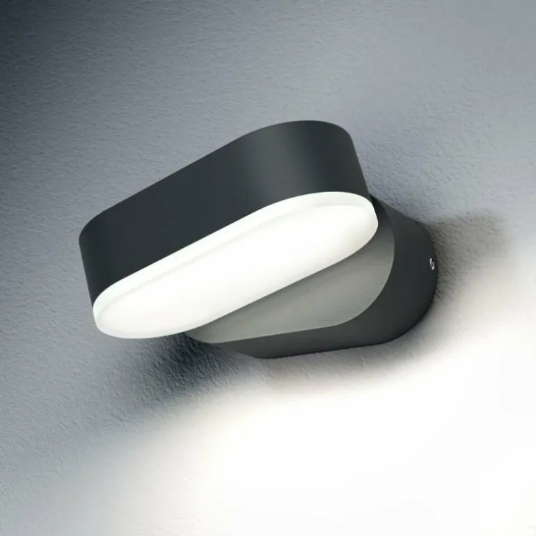 Applique murale d'extérieur LEDVANCE ENDURA Noir, 1 lumière